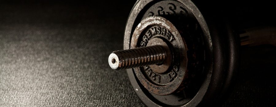 Much More than Muscle: Why Everyone Should Strength Train!