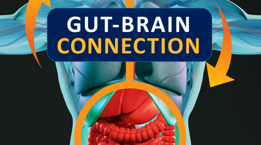 The Gut-Brain Connection: A Core Factor in Human Health